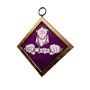 S17 PCharm002