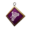 S20 PCharm003
