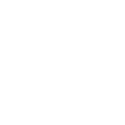 SurvivorNancy.png