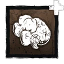 FulliconAddon ratLiver