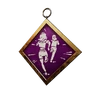 S35 PCharm003
