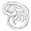 IconPowers t-Virus