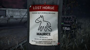 Affiche de Disparition pour Maurice