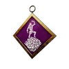 S25 PCharm001