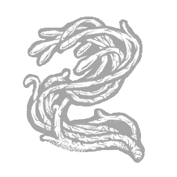 IconAddon uroborosTendril