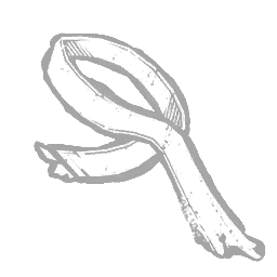 IconAddon leatherStrip