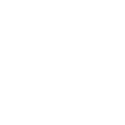 SurvivorSteve.png