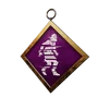 S15 PCharm003