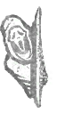 IconHUD ghostFaceLean.png