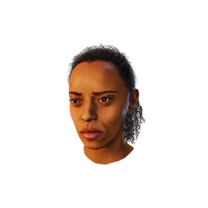 S40 Head006