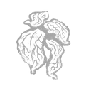 IconFavors pustulaPetals.png