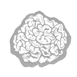 IconAddon foreignPlantFibres