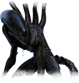 The Xenomorph - Official Dead by Daylight Wiki