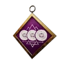 S25 PCharm002