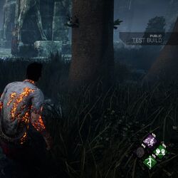 Category 殺手技能 Dead By Daylight Wiki