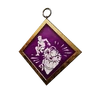 K22 PCharm001