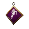 S10 PCharm002