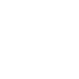 SurvivorAsh.png