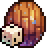 Random Starting Shield Icon