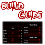 "Character Build Guide"