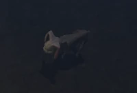 Bunny (Hound Zombie)