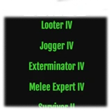 "Character Build Guide"