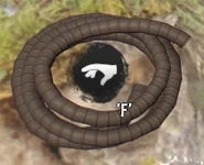 Flexible hose in the Definitive Edition