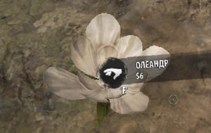 В игре Dead Island: Riptide