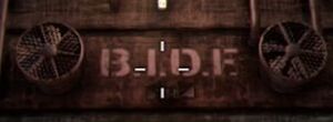 BIDF logo