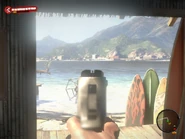 Aiming down the sights