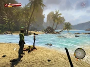 Wayne and Harlow on the Pearl Sands Beach