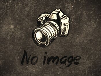 No image 1