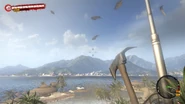 Holding the Hatchet in the original game