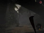 The Flooded jungle in rain