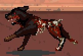Zombie dog