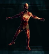 As it appears in the gallery when viewed as snapshot 12