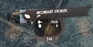 ScreenShot016.jpg (54 KB) Incendiary Grenade stats