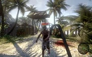 A crowbar in the original version of Dead Island