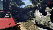 The hidden entrance to the bunker from the road