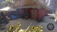 The back garden