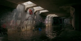 DI2 Brentwood Sewers