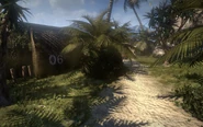 Approaching the bunker