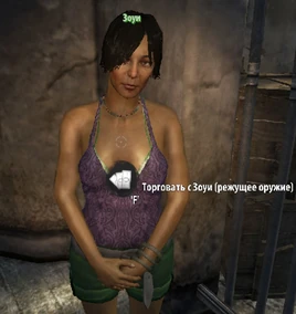 DIR Зоуи