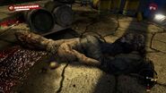 Wayne finally slain