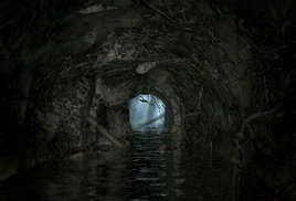 DIR Катакомбы