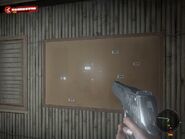 Holding the pistol
