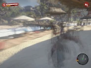 After drinking alcohol