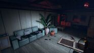 The living room