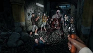 A Screenshot of Dead Island: Riptide Showing a Crawler.