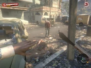 The cane knife in action
